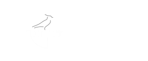 Kivit Staalbouw